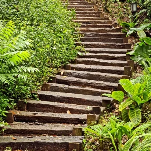 Dormentes de Madeira em Curitiba - Madera Brasil