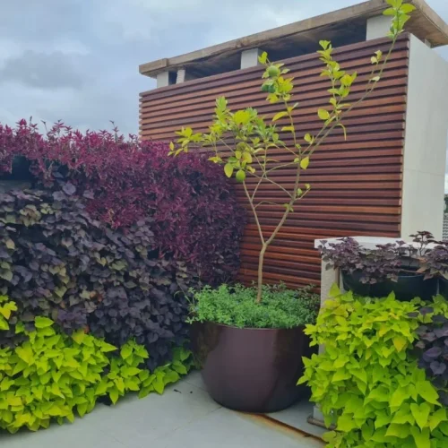 Revestimentos de Madeira em Curitiba - Madera Brasil