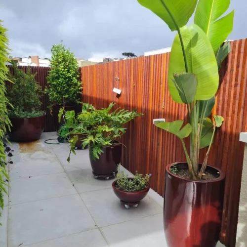 Revestimentos de Madeira em Curitiba - Madera Brasil